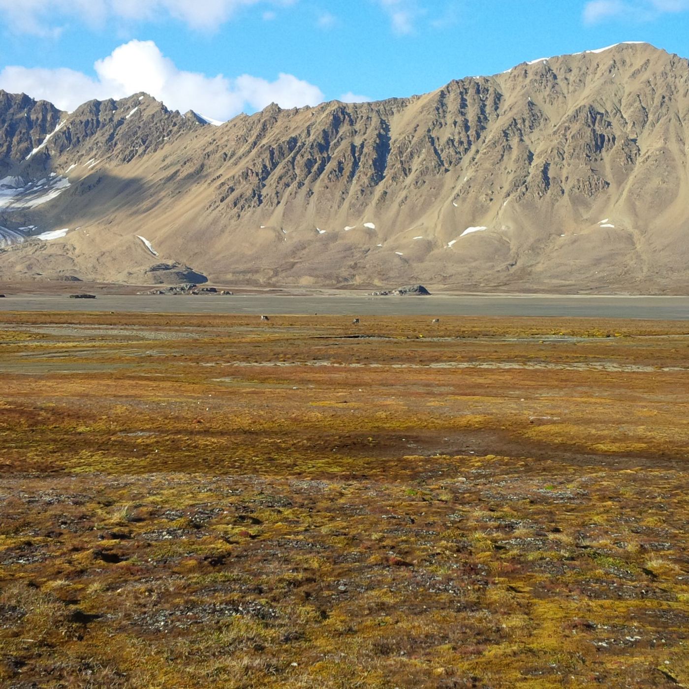 Mountain landscape and coastal plain photographed at Søre Fagerfjord